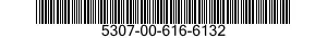 5307-00-616-6132  5307006166132 006166132