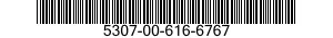5307-00-616-6767  5307006166767 006166767