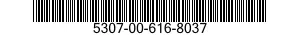 5307-00-616-8037  5307006168037 006168037