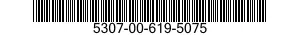 5307-00-619-5075  5307006195075 006195075