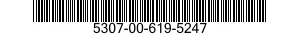 5307-00-619-5247  5307006195247 006195247