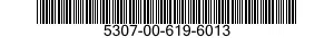 5307-00-619-6013  5307006196013 006196013