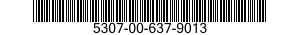 5307-00-637-9013  5307006379013 006379013