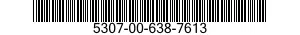 5307-00-638-7613  5307006387613 006387613