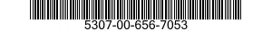 5307-00-656-7053  5307006567053 006567053