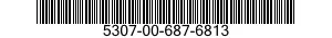5307-00-687-6813  5307006876813 006876813