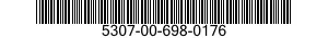 5307-00-698-0176  5307006980176 006980176