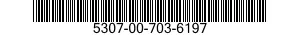 5307-00-703-6197  5307007036197 007036197