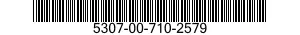 5307-00-710-2579  5307007102579 007102579