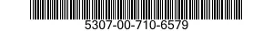 5307-00-710-6579  5307007106579 007106579