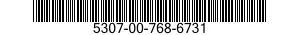 5307-00-768-6731  5307007686731 007686731