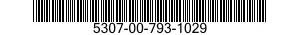 5307-00-793-1029  5307007931029 007931029