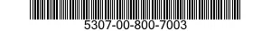 5307-00-800-7003  5307008007003 008007003