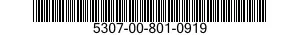 5307-00-801-0919  5307008010919 008010919