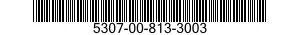 5307-00-813-3003  5307008133003 008133003