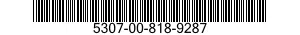 5307-00-818-9287  5307008189287 008189287