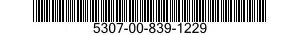 5307-00-839-1229 SCREW,MACHINE 5307008391229 008391229