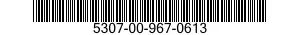 5307-00-967-0613  5307009670613 009670613