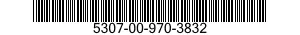 5307-00-970-3832  5307009703832 009703832