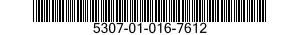 5307-01-016-7612  5307010167612 010167612