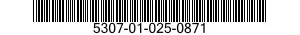 5307-01-025-0871  5307010250871 010250871