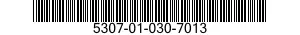 5307-01-030-7013  5307010307013 010307013