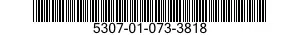 5307-01-073-3818  5307010733818 010733818