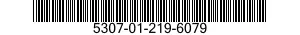 5307-01-219-6079 STUD,PLAIN 5307012196079 012196079