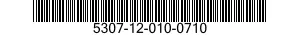 5307-12-010-0710  5307120100710 120100710