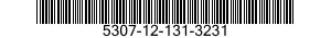 5307-12-131-3231  5307121313231 121313231