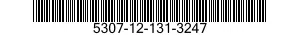 5307-12-131-3247  5307121313247 121313247