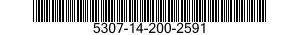5307-14-200-2591  5307142002591 142002591