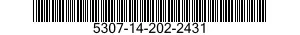 5307-14-202-2431  5307142022431 142022431