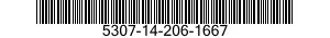 5307-14-206-1667  5307142061667 142061667