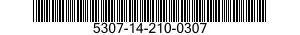 5307-14-210-0307  5307142100307 142100307