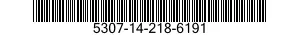 5307-14-218-6191  5307142186191 142186191