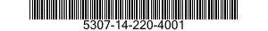 5307-14-220-4001  5307142204001 142204001