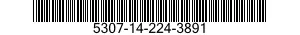 5307-14-224-3891  5307142243891 142243891