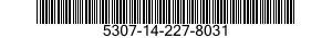 5307-14-227-8031  5307142278031 142278031