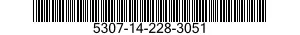 5307-14-228-3051  5307142283051 142283051