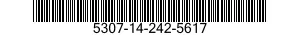5307-14-242-5617  5307142425617 142425617