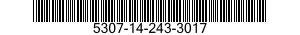 5307-14-243-3017  5307142433017 142433017