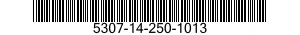 5307-14-250-1013  5307142501013 142501013