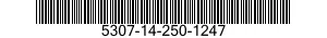 5307-14-250-1247  5307142501247 142501247