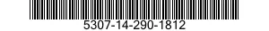5307-14-290-1812  5307142901812 142901812