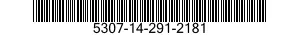 5307-14-291-2181  5307142912181 142912181