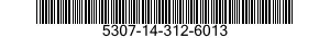 5307-14-312-6013  5307143126013 143126013