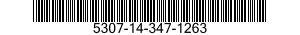 5307-14-347-1263  5307143471263 143471263