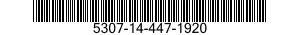 5307-14-447-1920  5307144471920 144471920
