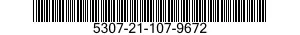 5307-21-107-9672  5307211079672 211079672